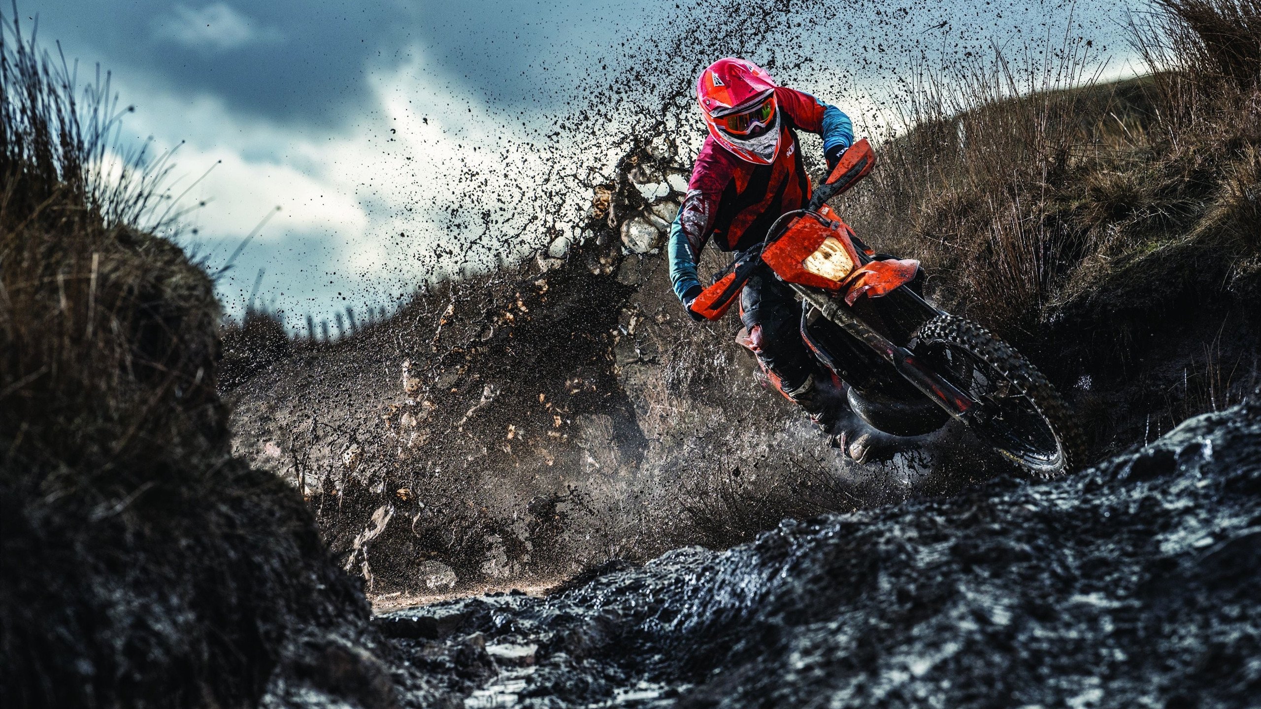 赛季最震撼的绝杀时刻，谁的投篮最令人窒息？，本赛季投篮能力前十